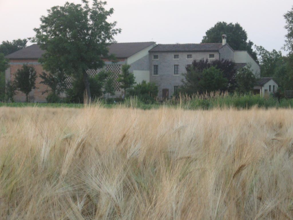 Agriturismo La Rovere Villa Cesole Dış mekan fotoğraf